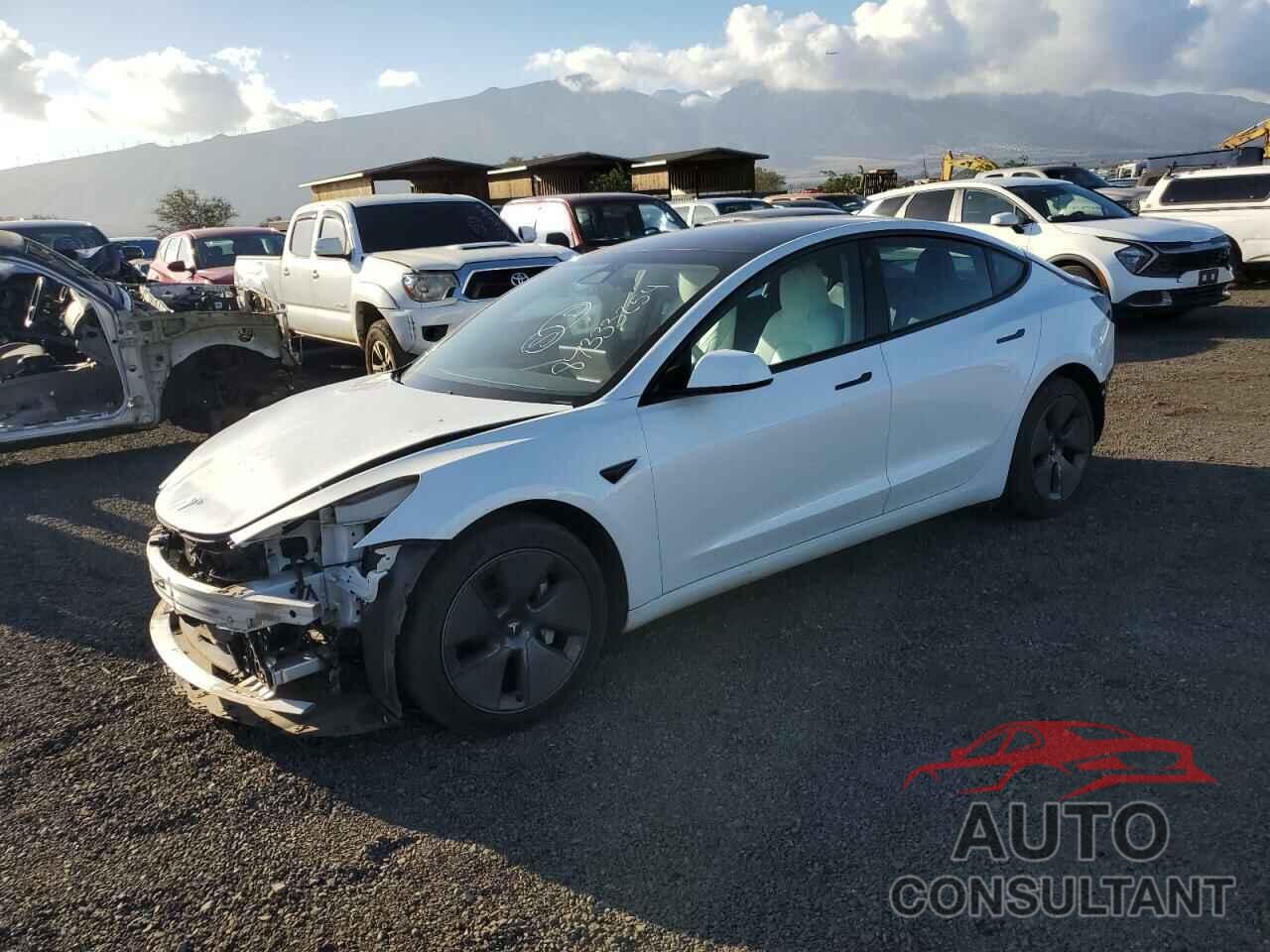 TESLA MODEL 3 2021 - 5YJ3E1EA4MF048663