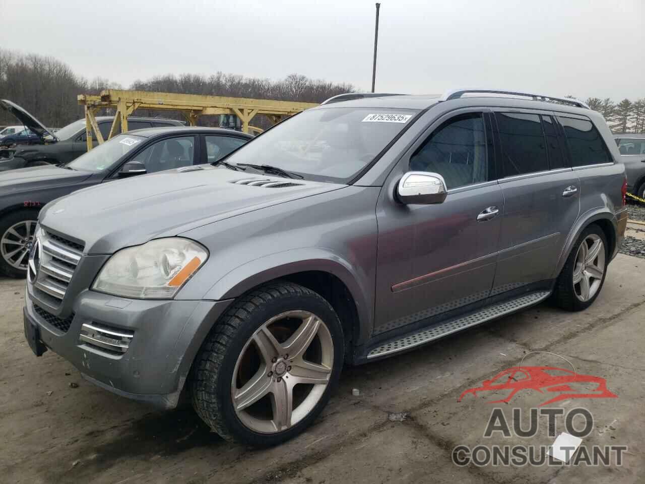 MERCEDES-BENZ GL-CLASS 2010 - 4JGBF8GEXAA618215