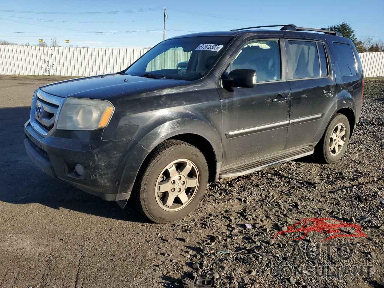 HONDA PILOT 2009 - 5FNYF48909B503621