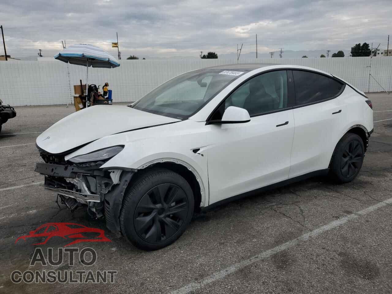TESLA MODEL Y 2024 - 7SAYGDED1RF194539