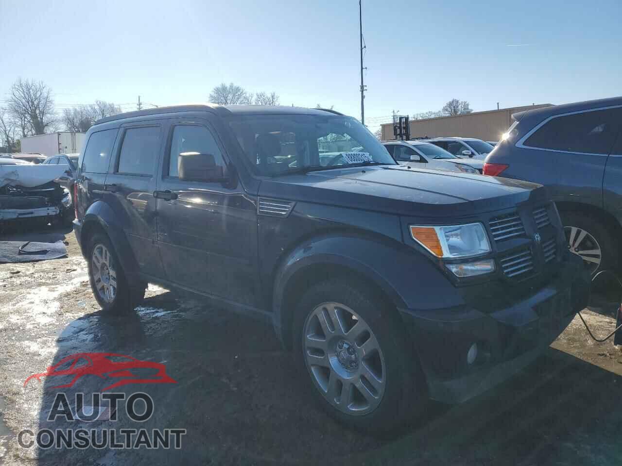 DODGE NITRO 2011 - 1D4PU4GX7BW539828