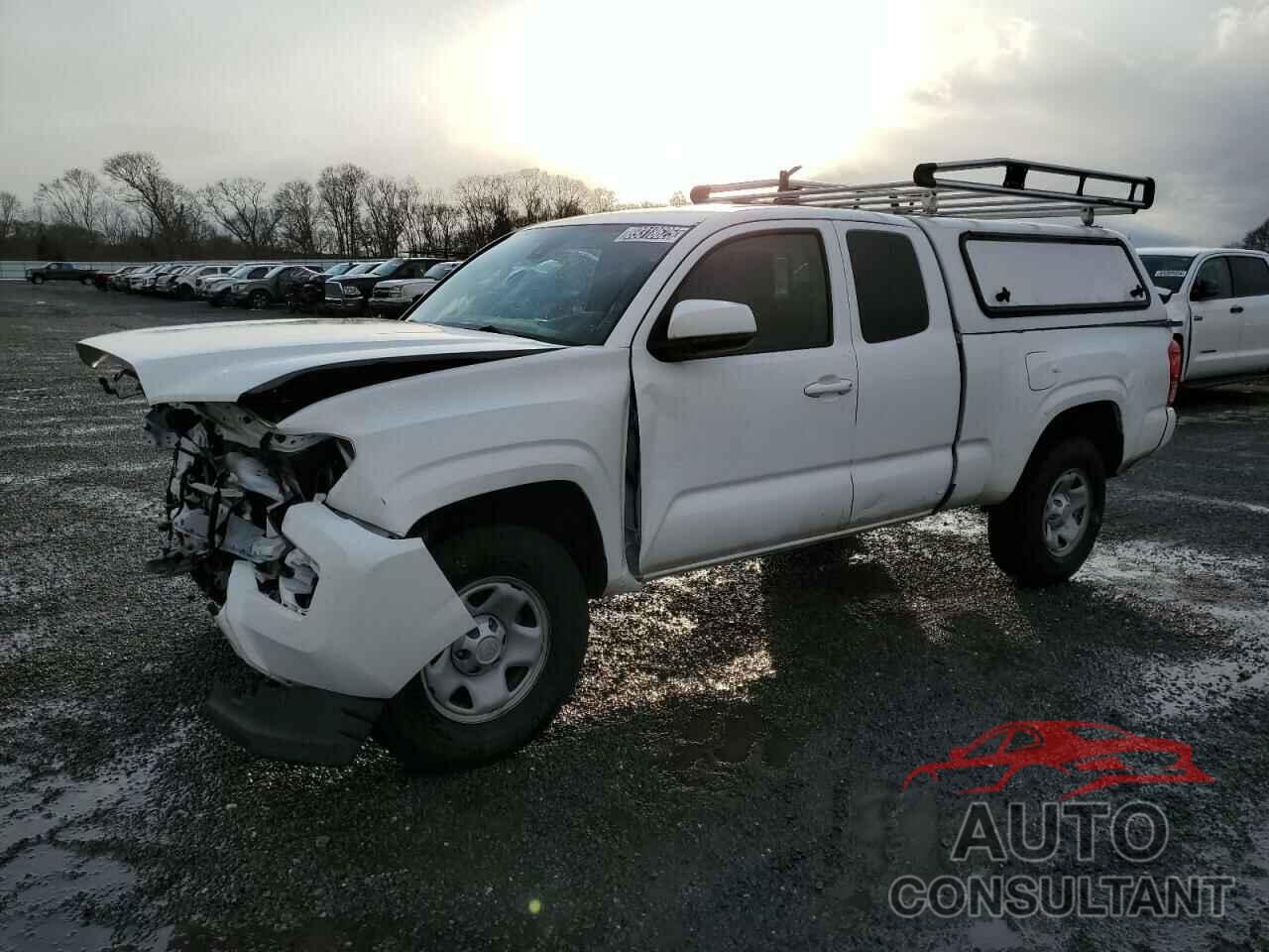 TOYOTA TACOMA 2022 - 3TYRX5GN2NT056502
