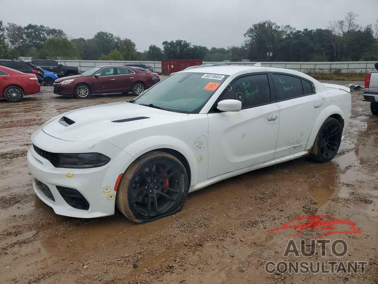 DODGE CHARGER 2021 - 2C3CDXL94MH672072
