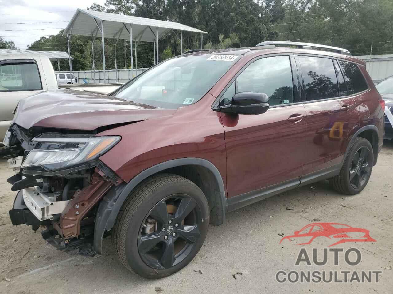 HONDA PASSPORT 2019 - 5FNYF8H02KB021408