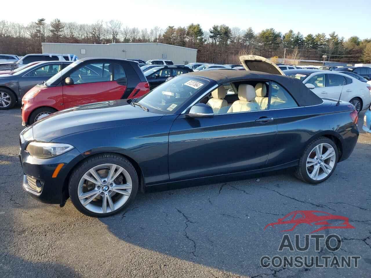 BMW 2 SERIES 2015 - WBA1K5C55FV474053