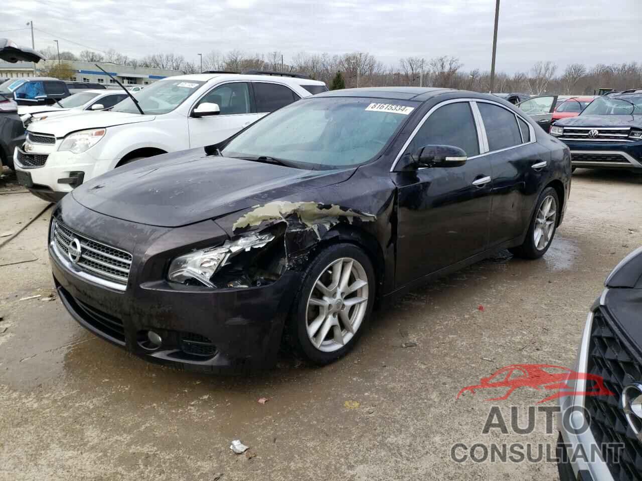 NISSAN MAXIMA 2010 - 1N4AA5AP1AC821060