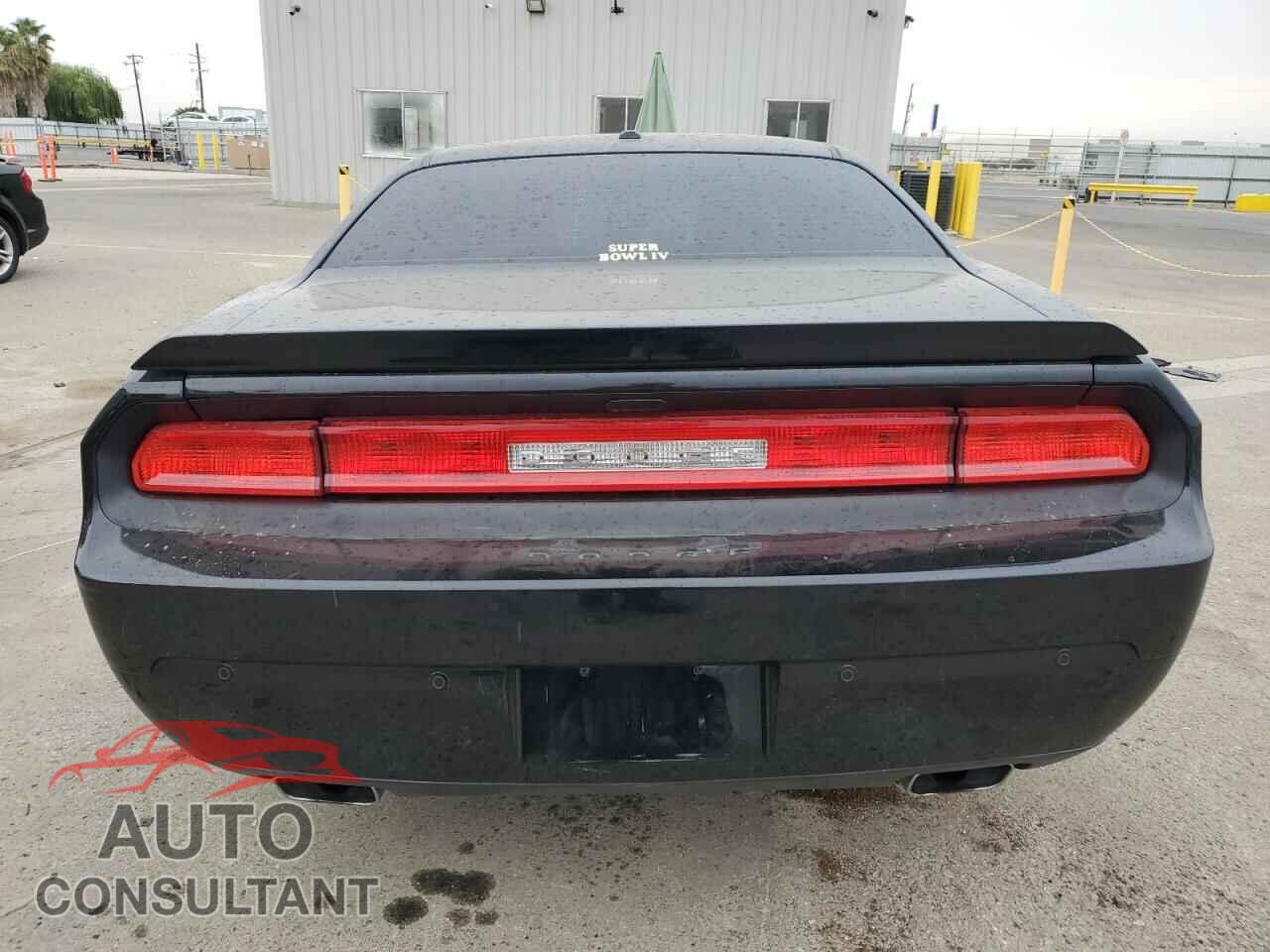 DODGE CHALLENGER 2013 - 2C3CDYBTXDH724341