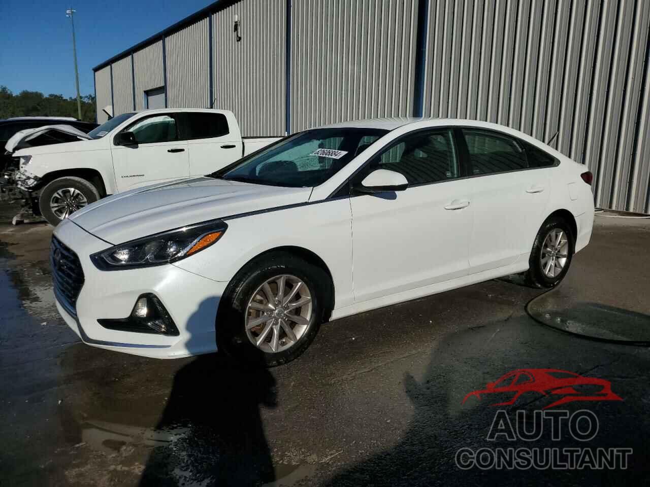 HYUNDAI SONATA 2019 - 5NPE24AF0KH752040