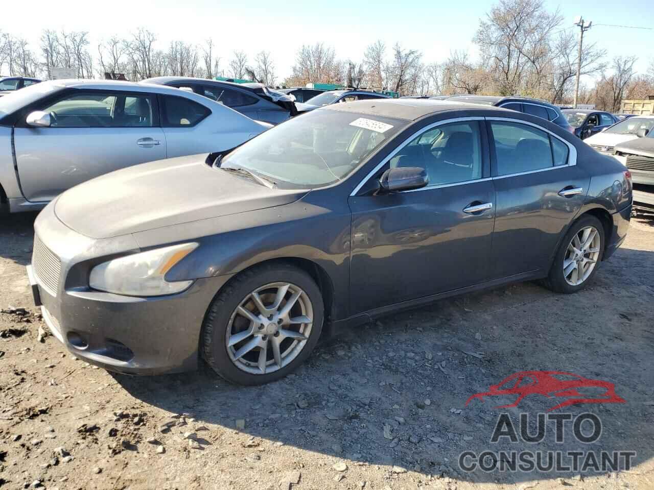 NISSAN MAXIMA 2011 - 1N4AA5AP7BC813675