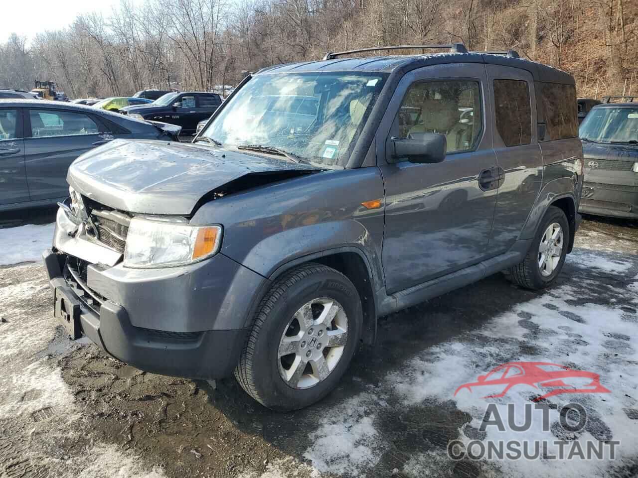 HONDA ELEMENT 2009 - 5J6YH287X9L003759