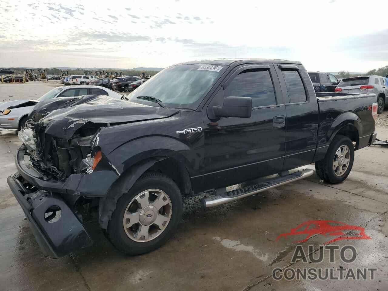 FORD F-150 2009 - 1FTRX12W19KB83596