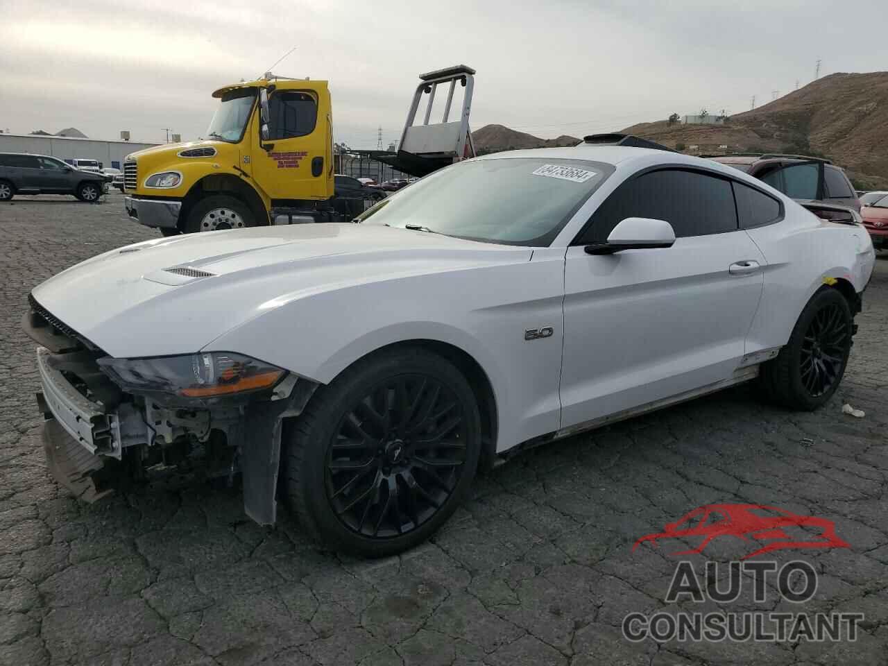 FORD MUSTANG 2019 - 1FA6P8CF6K5119221