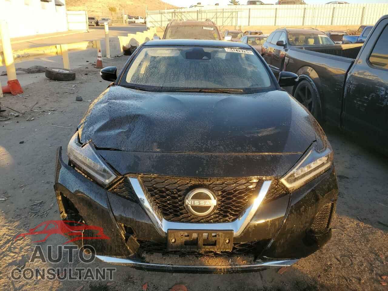 NISSAN MAXIMA 2023 - 1N4AA6CV6PC511156