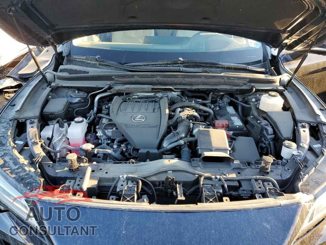 LEXUS RX350 2023 - 2T2BAMCA4PC027618