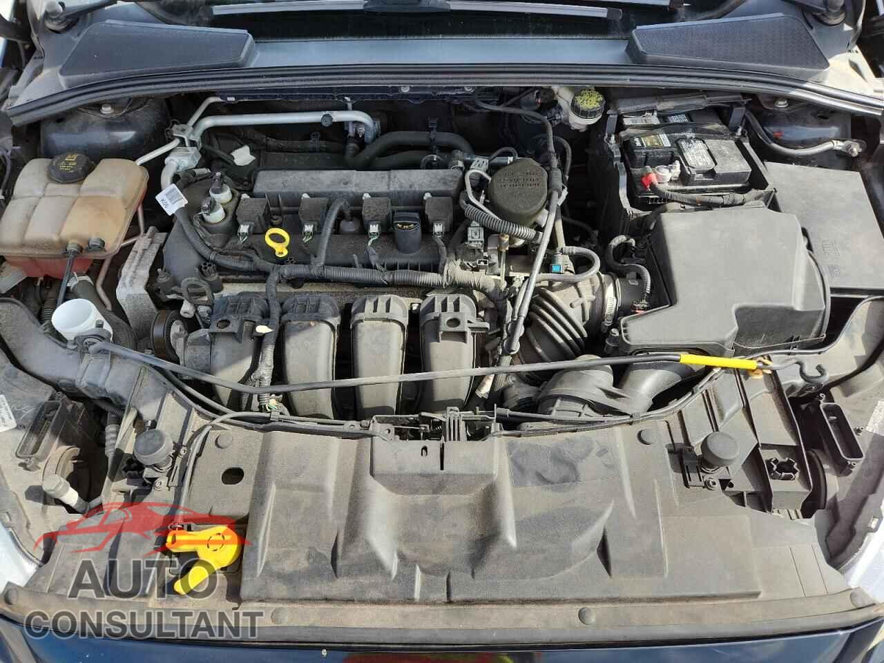 FORD FOCUS 2016 - 1FADP3F21GL221774