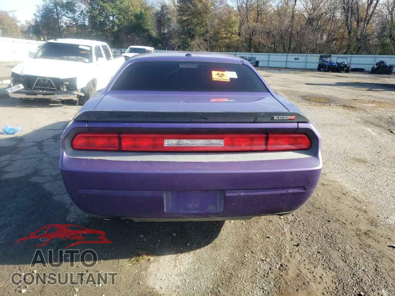 DODGE CHALLENGER 2013 - 2C3CDYDJ2DH694585