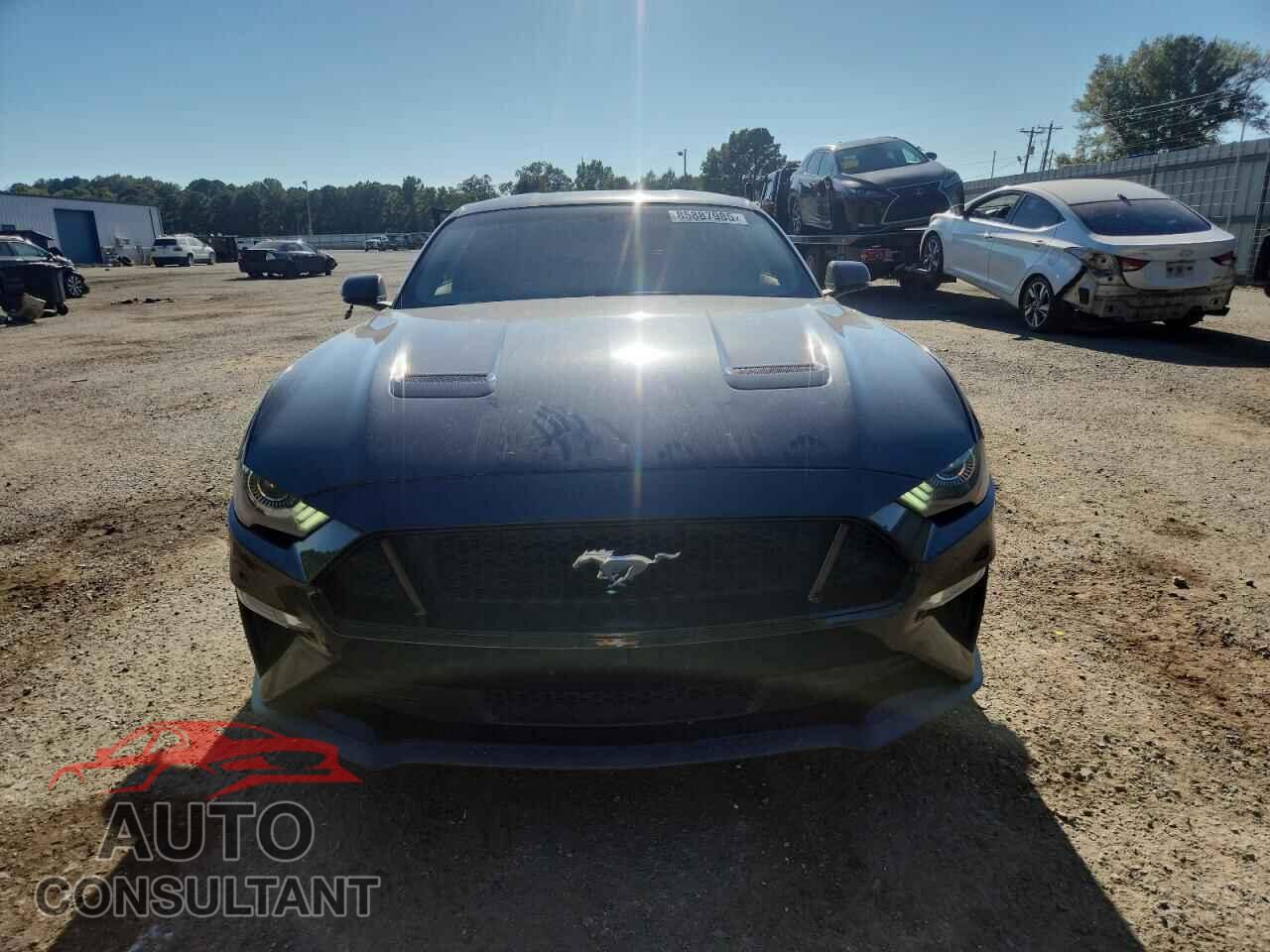FORD MUSTANG 2019 - 1FA6P8CF7K5142913