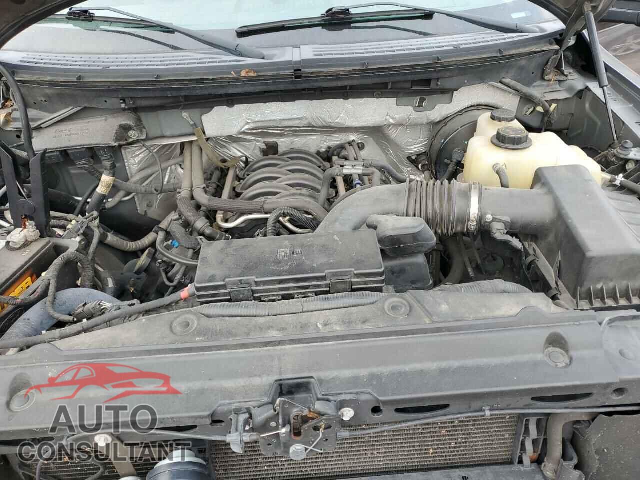 FORD F-150 2011 - 1FTFX1CF7BFA82952