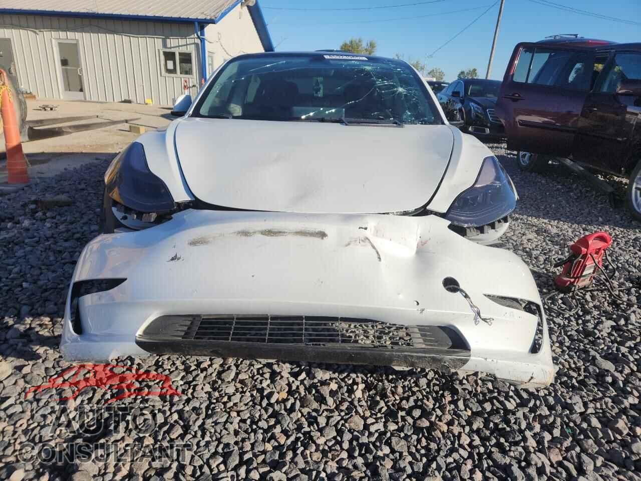 TESLA MODEL 3 2021 - 5YJ3E1EC3MF025781