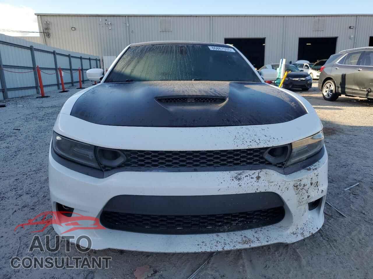 DODGE CHARGER 2019 - 2C3CDXGJXKH605932