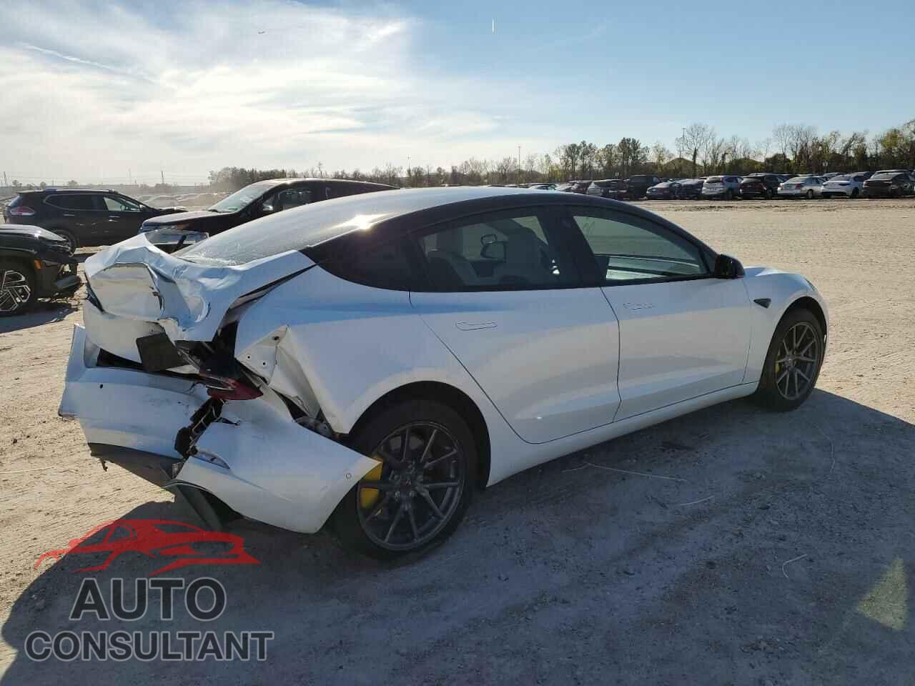 TESLA MODEL 3 2019 - 5YJ3E1EA8KF402939