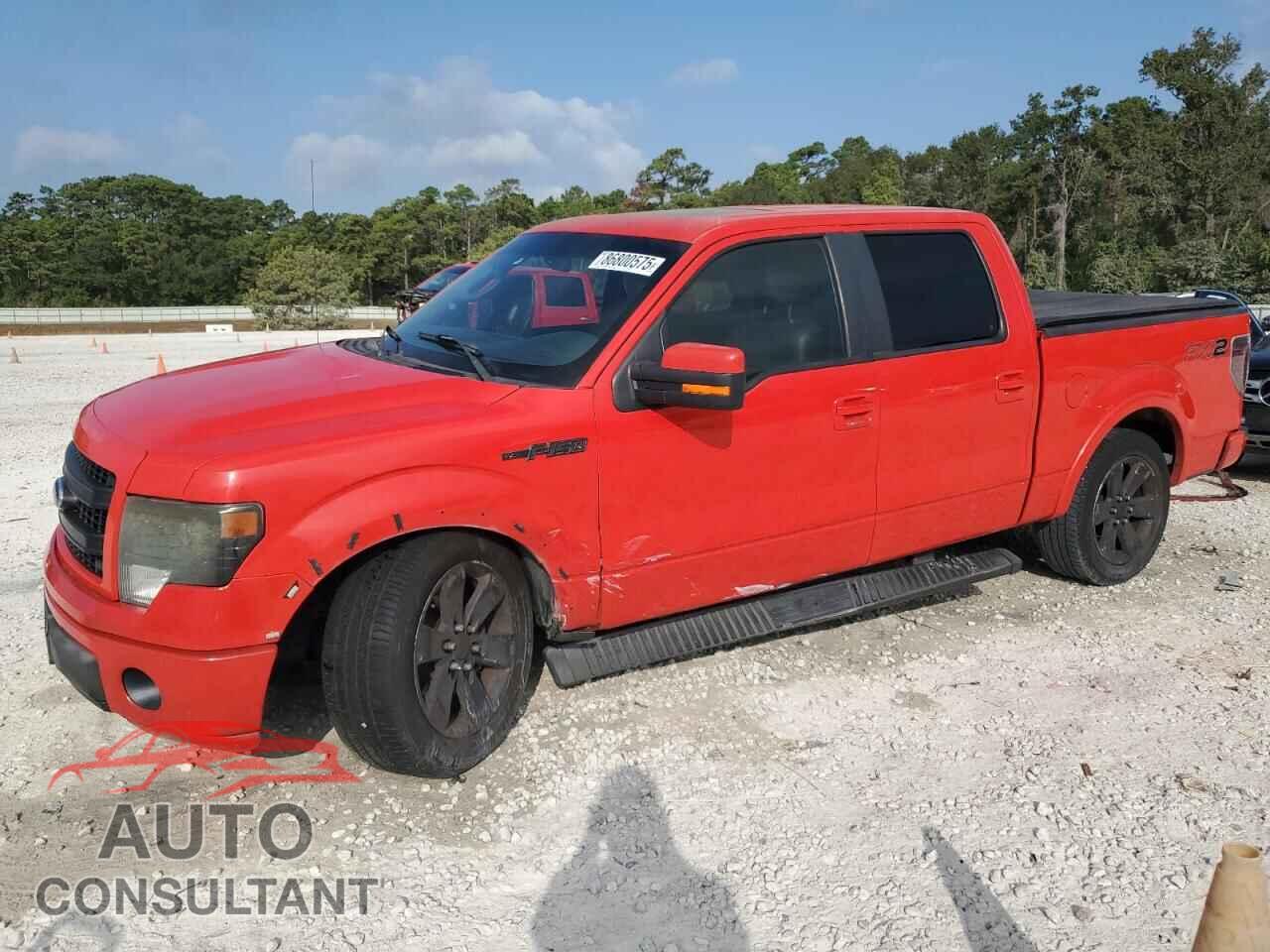 FORD F-150 2013 - 1FTFW1CF8DFD33113