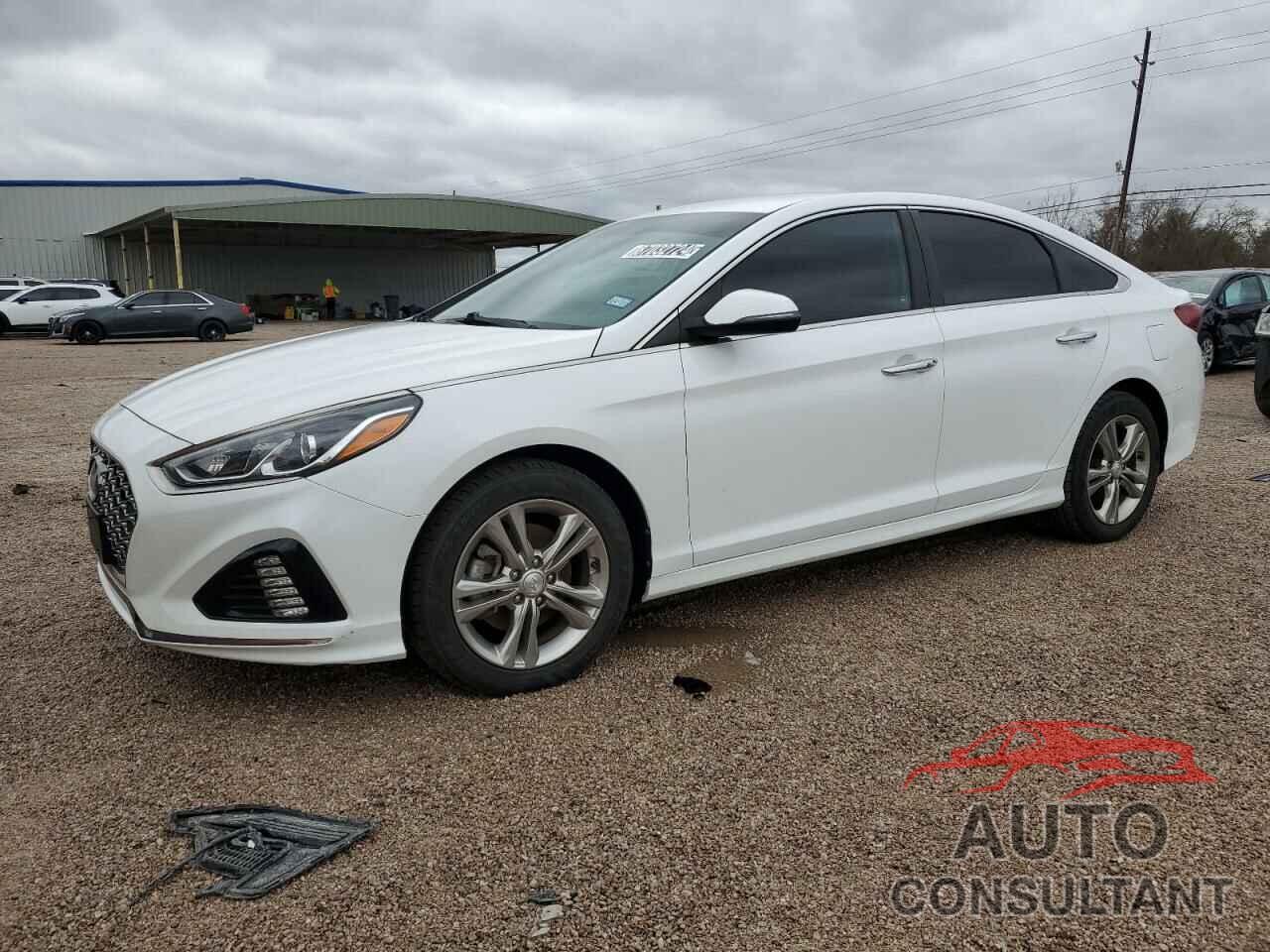 HYUNDAI SONATA 2019 - 5NPE34AF1KH816213