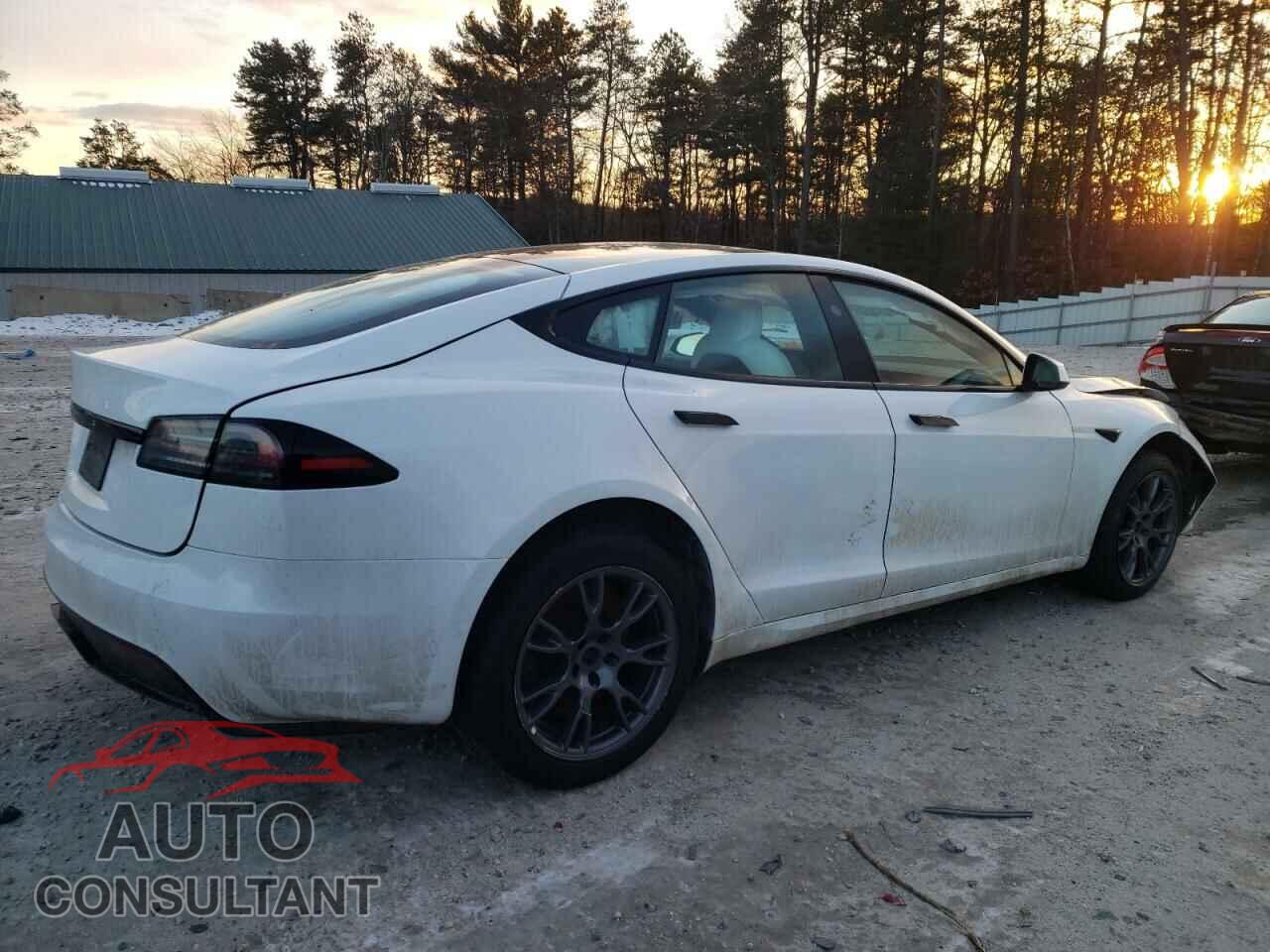 TESLA MODEL S 2023 - 5YJSA1E55PF508489