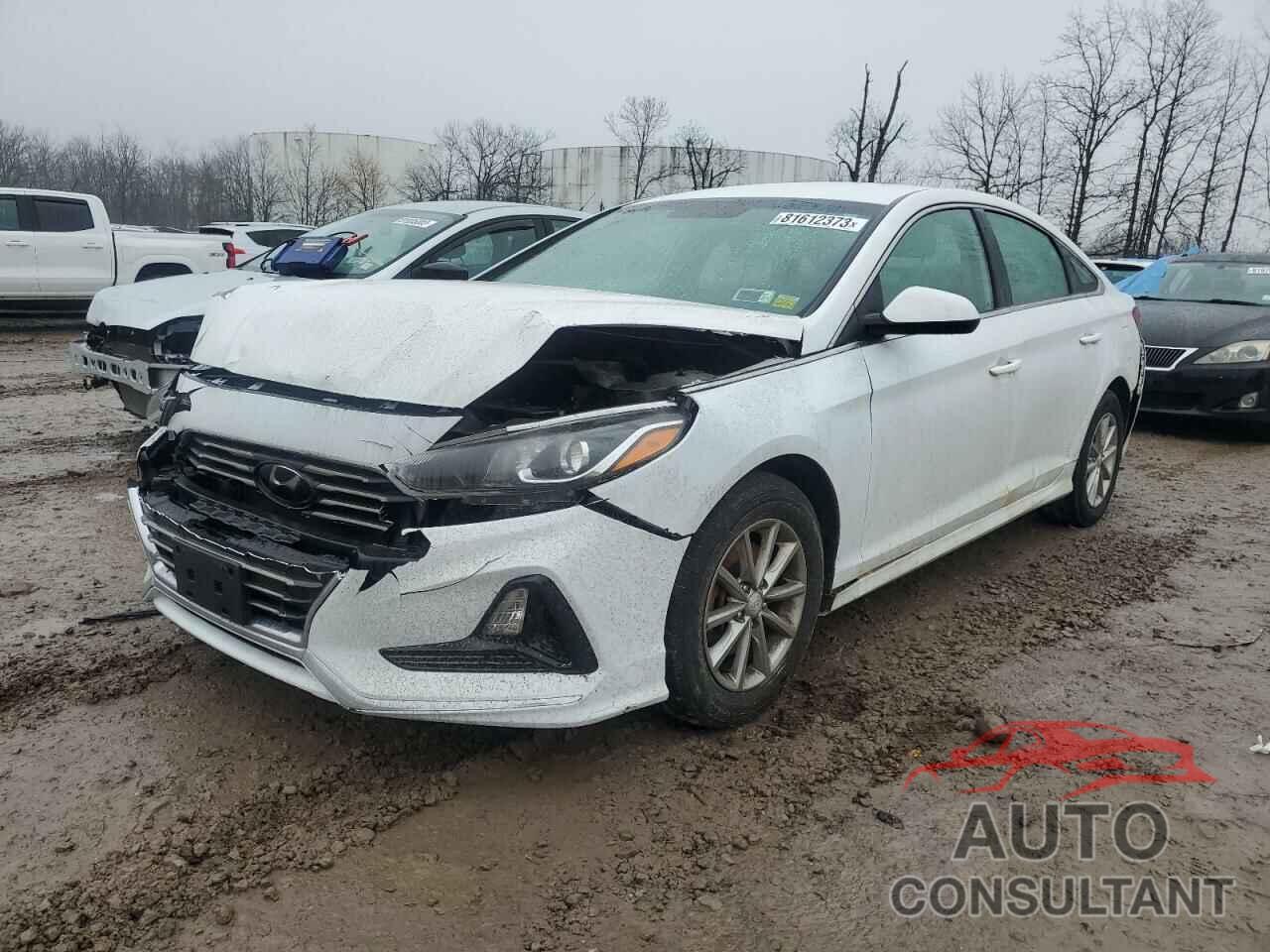 HYUNDAI SONATA 2019 - 5NPE24AF9KH789409