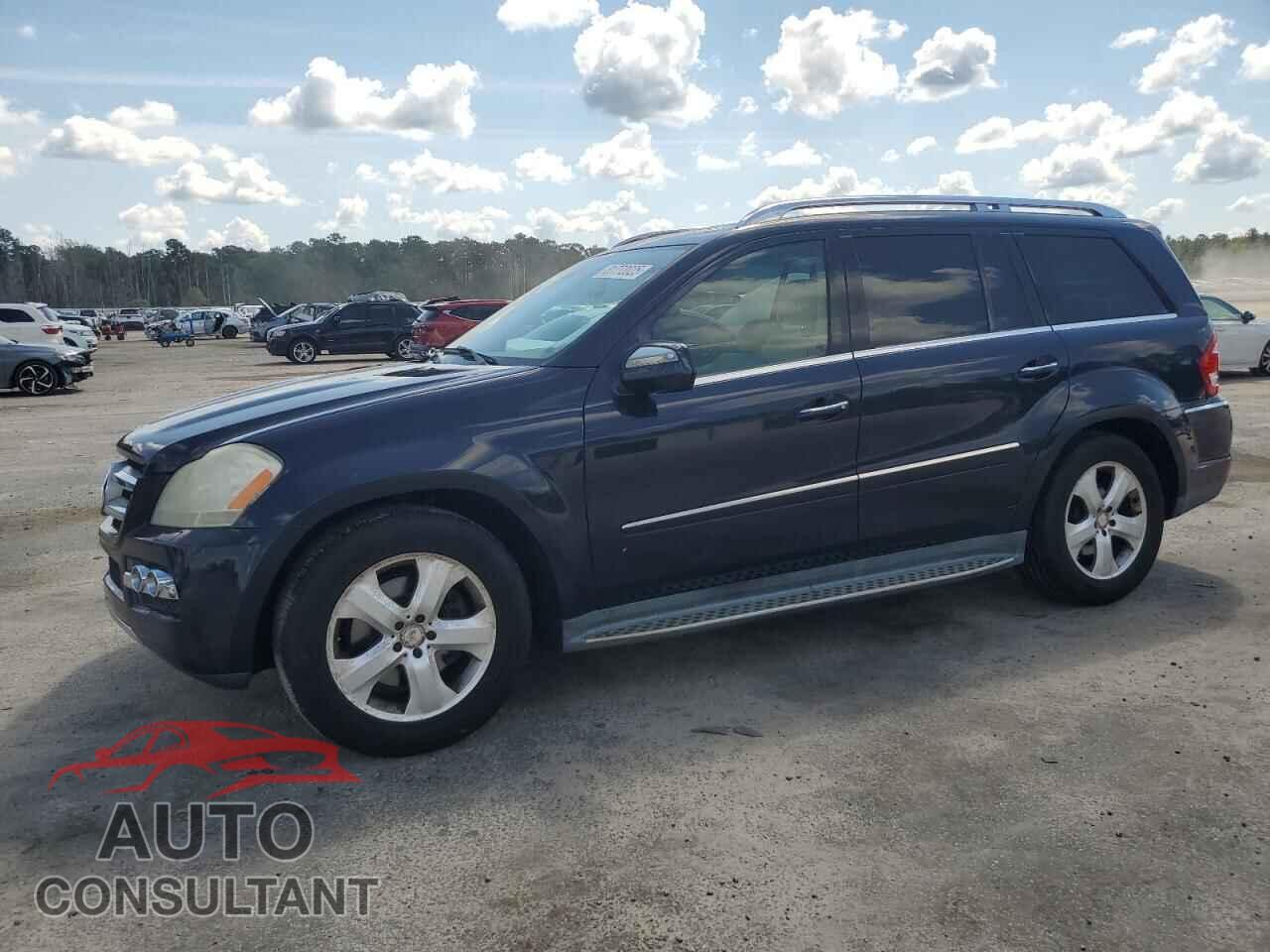 MERCEDES-BENZ GL-CLASS 2010 - 4JGBF7BE2AA592355