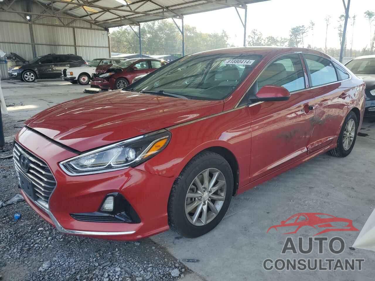 HYUNDAI SONATA 2019 - 5NPE24AF6KH768565