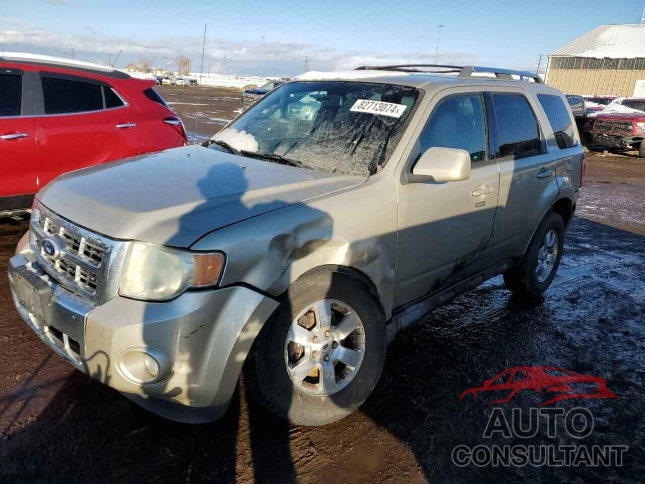 FORD ESCAPE 2010 - 1FMCU0EG8AKB77419
