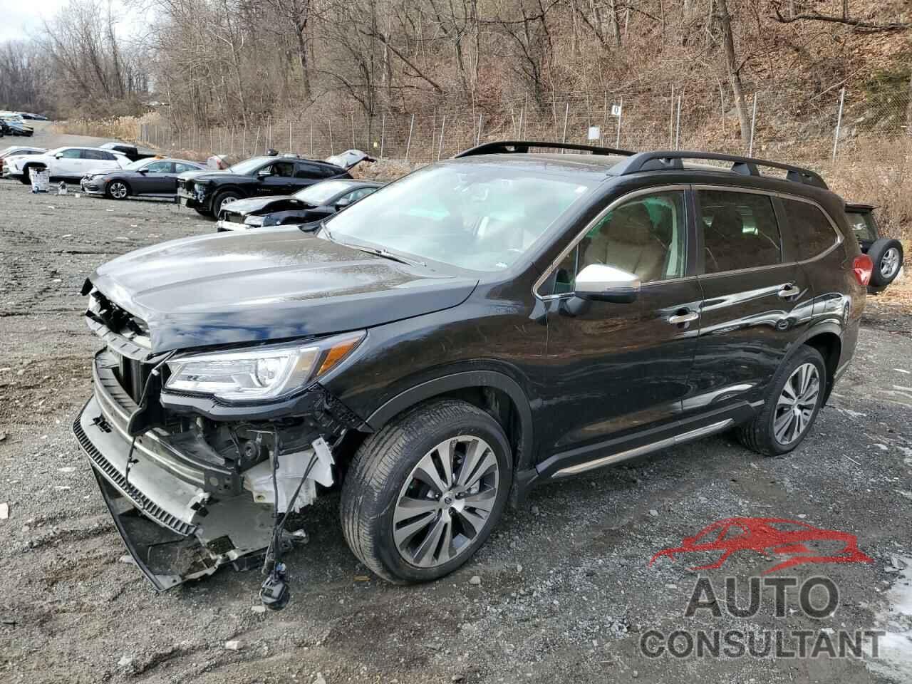 SUBARU ASCENT 2022 - 4S4WMARD2N3401545