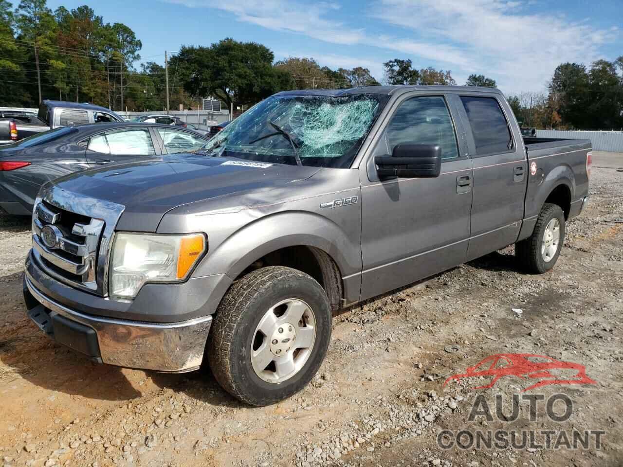 FORD F-150 2010 - 1FTEW1C82AFA90388