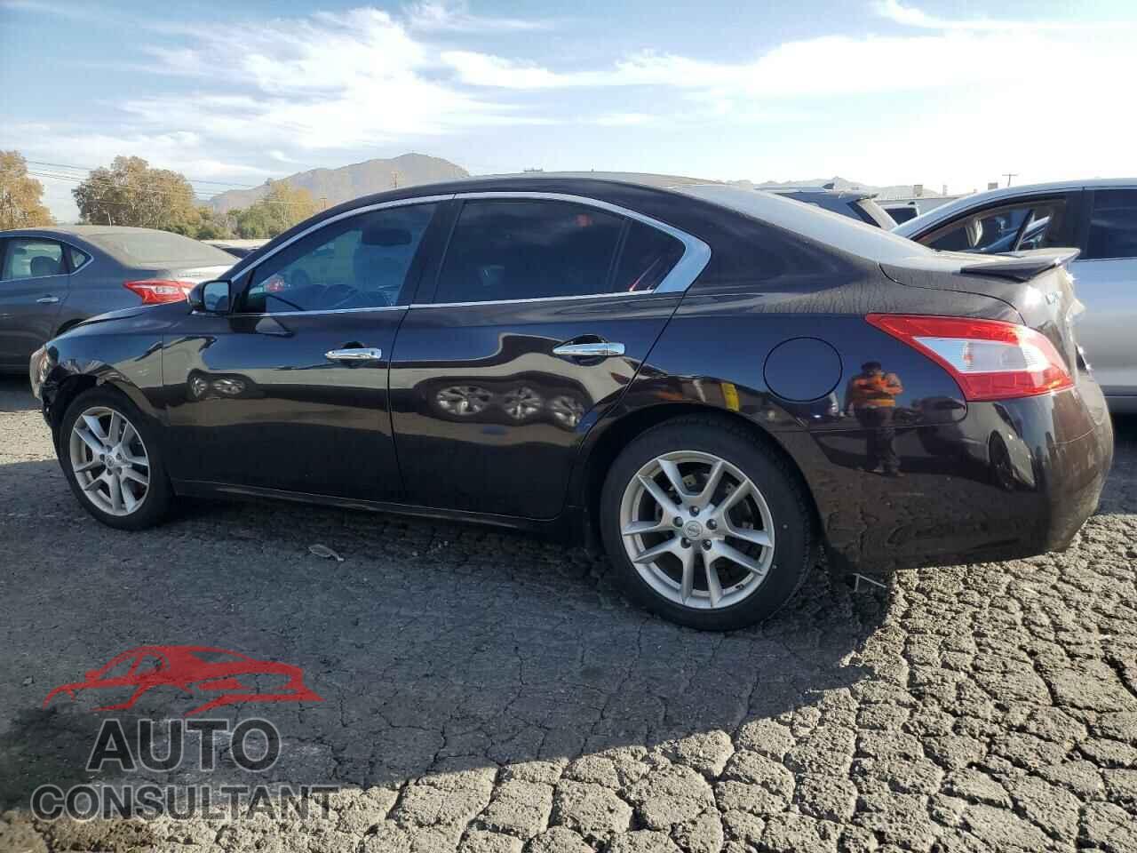 NISSAN MAXIMA 2011 - 1N4AA5AP8BC853988