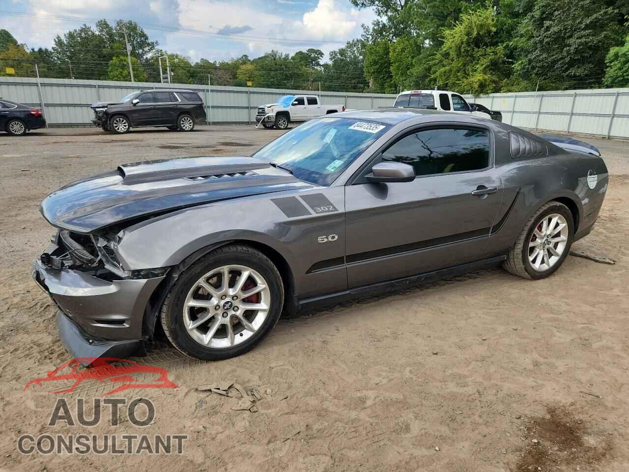 FORD MUSTANG 2011 - 1ZVBP8CF8B5114320