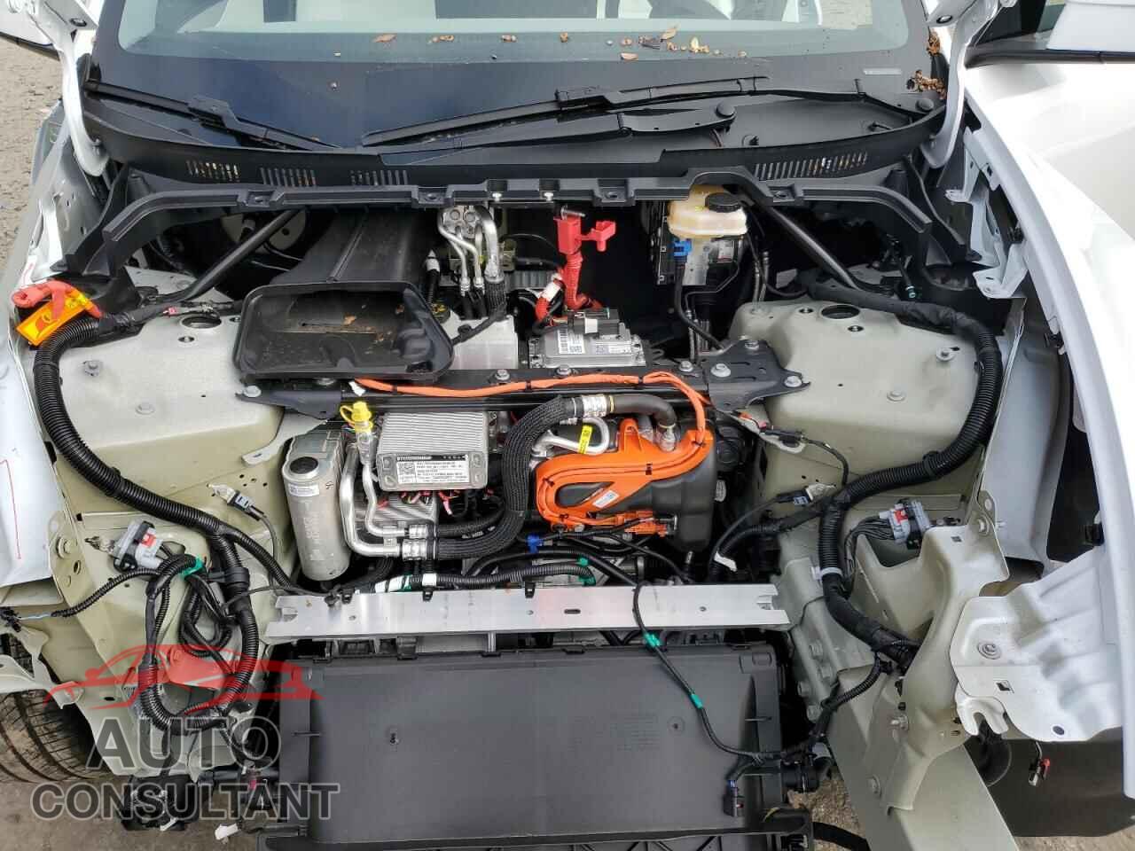 TESLA MODEL Y 2026 - 7SAYGDEEXTA448858