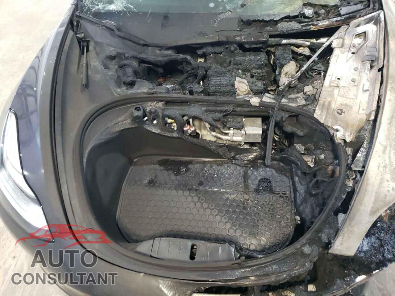 TESLA MODEL 3 2019 - 5YJ3E1EA9KF411150