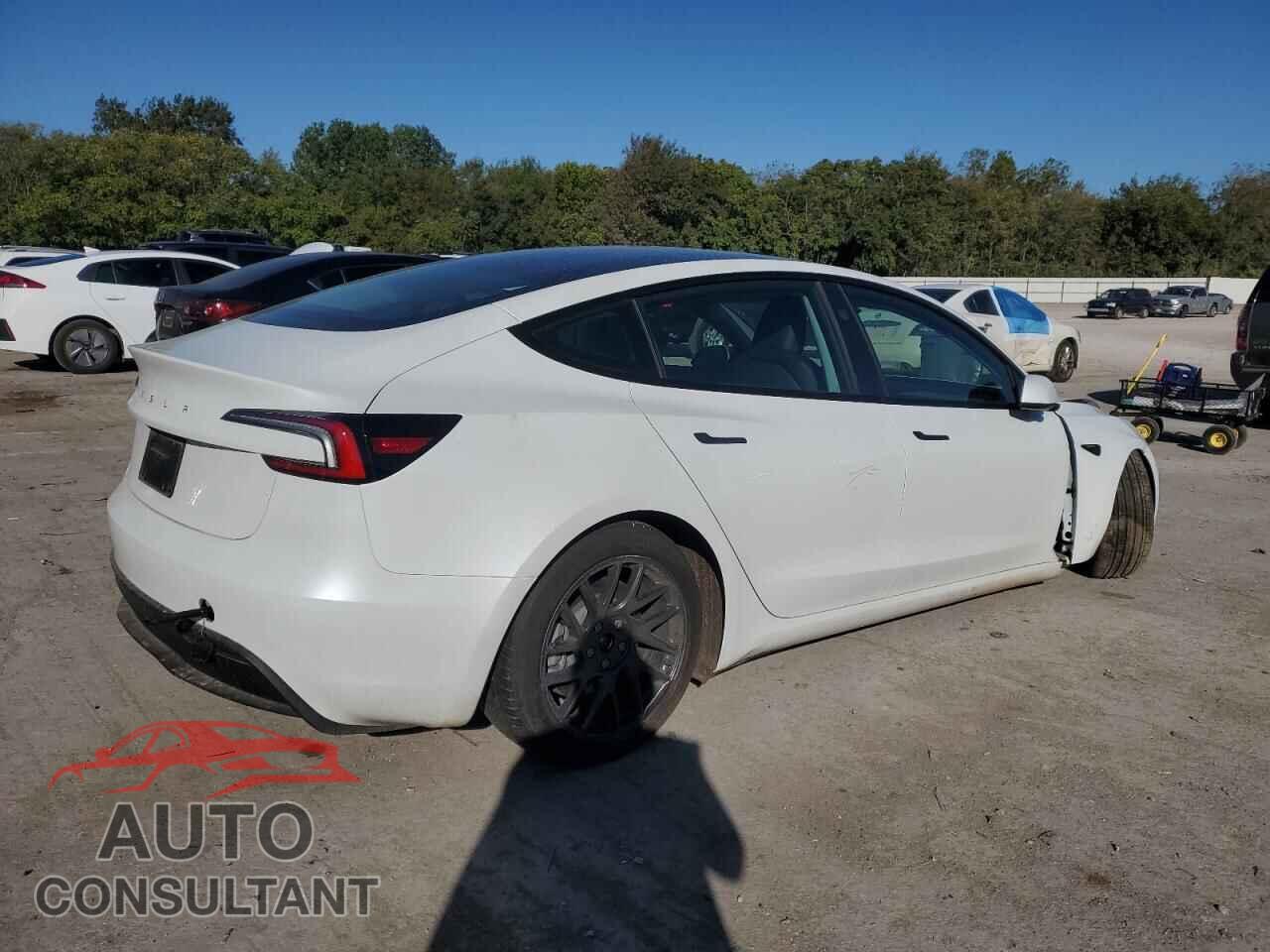 TESLA MODEL 3 2025 - 5YJ3E1EA6SF905059