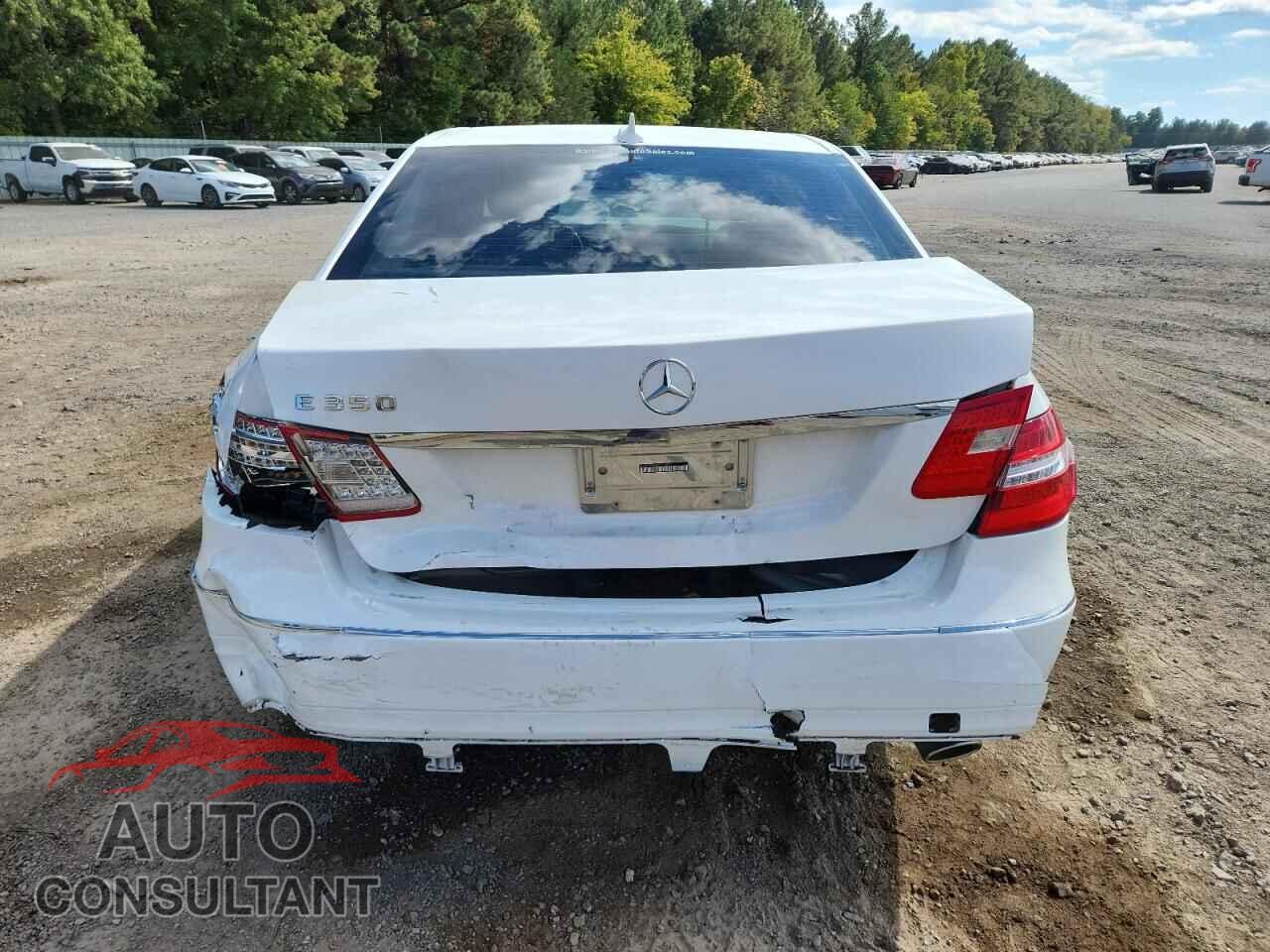 MERCEDES-BENZ E-CLASS 2013 - WDDHF5KB8DA710024