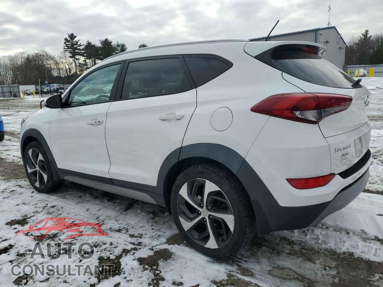 HYUNDAI TUCSON 2017 - KM8J3CA26HU309985