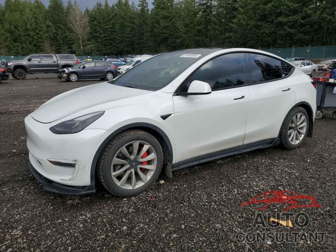 TESLA MODEL Y 2022 - 7SAYGDEF9NF457436