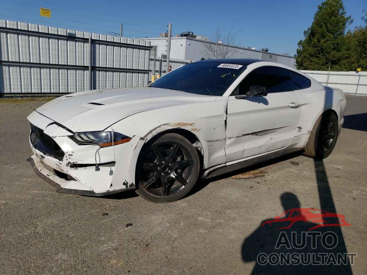 FORD MUSTANG 2020 - 1FA6P8CF2L5183029