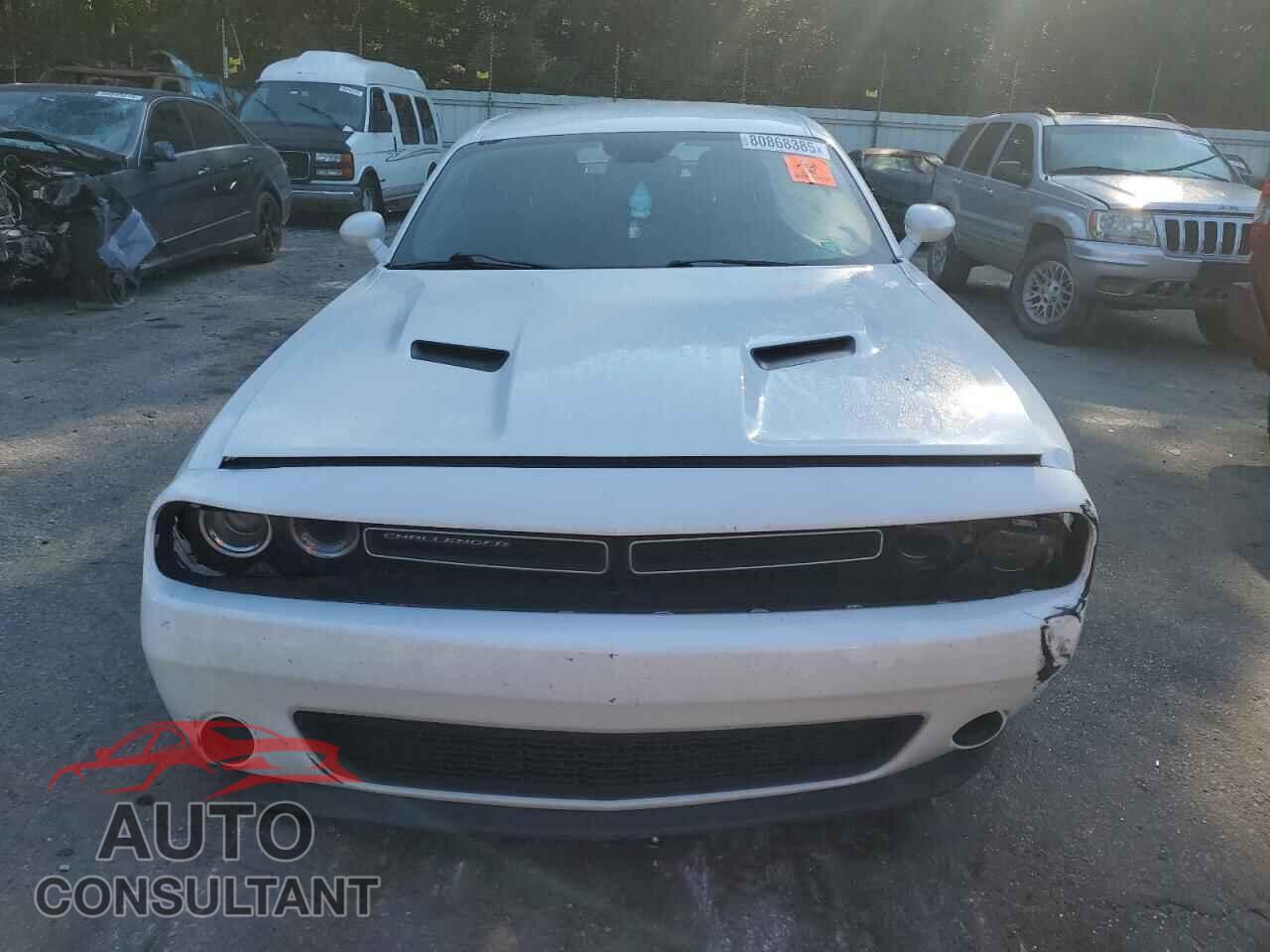 DODGE CHALLENGER 2019 - 2C3CDZAG1KH711999