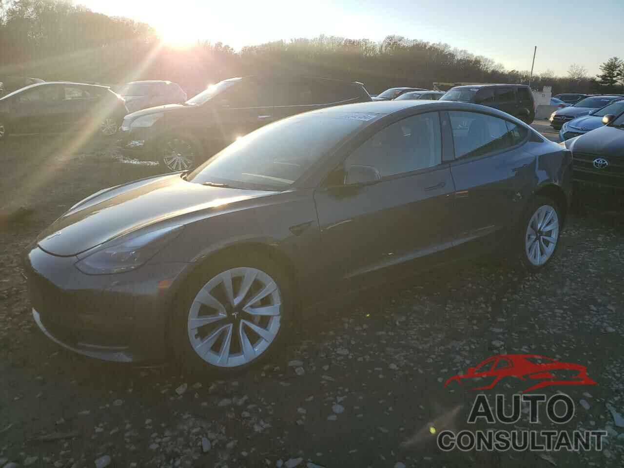 TESLA MODEL 3 2022 - 5YJ3E1EB5NF204025