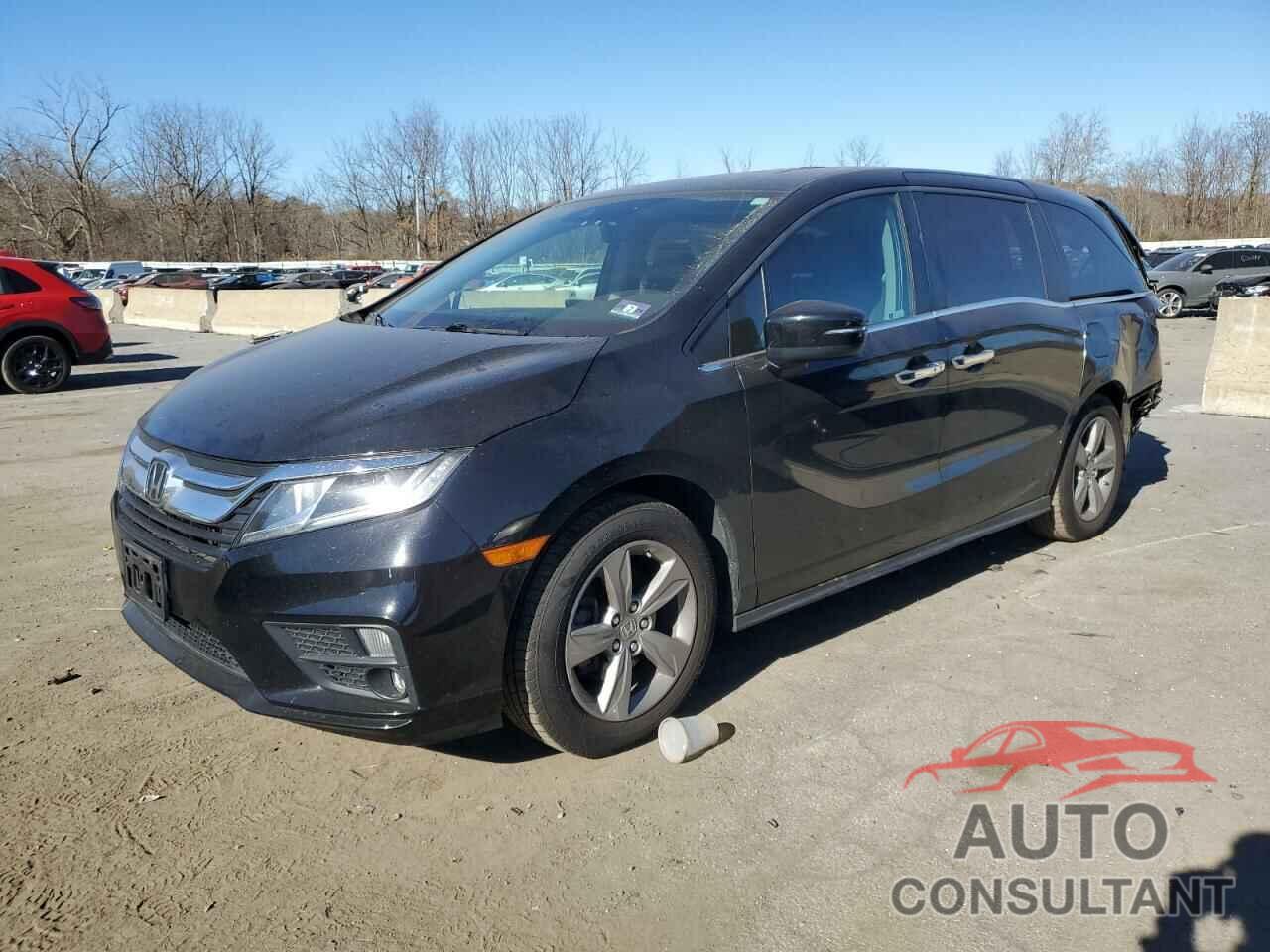 HONDA All Models 2019 - 5FNRL6H70KB080505