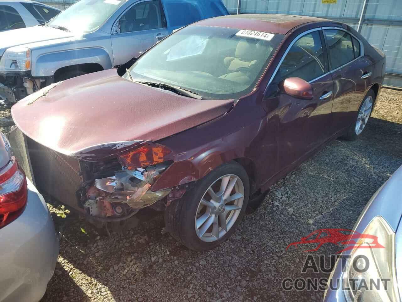 NISSAN MAXIMA 2009 - 1N4AA51E19C855459