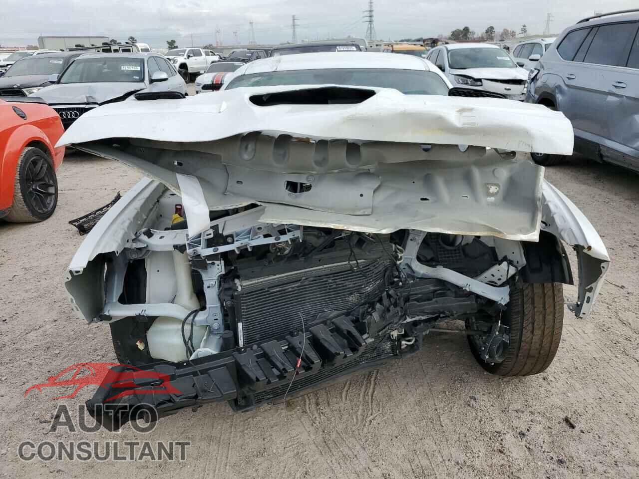 DODGE CHALLENGER 2019 - 2C3CDZFJ5KH719141