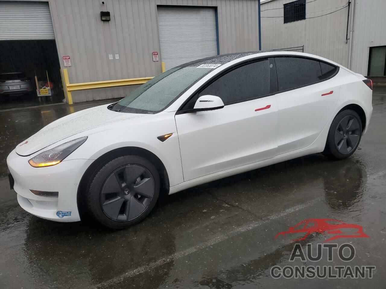 TESLA MODEL 3 2021 - 5YJ3E1EA5MF075256