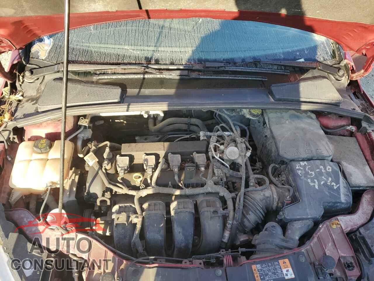 FORD FOCUS 2016 - 1FADP3F27GL391492